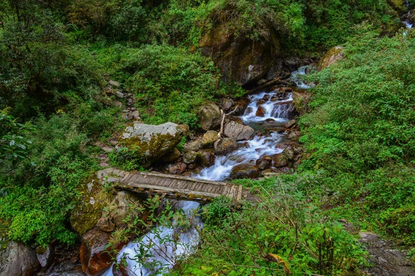 Annapurna trekking trail in Nepal — Stock Photo, Image