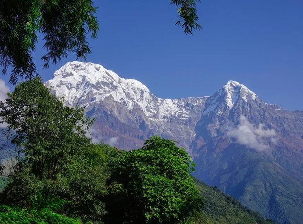 Bella cima di montagna nella neve — Foto Stock