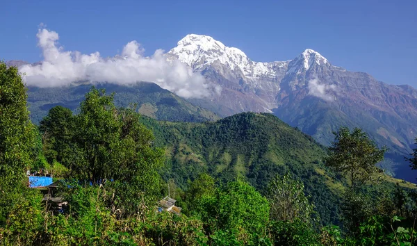 Hermoso pico de montaña en nieve — Foto de Stock