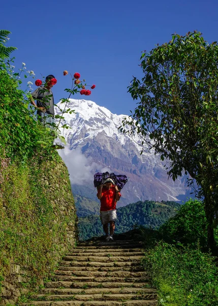 Porter carrying large luggage on mountain — Stock Image Porter carrying large luggage on mountain Stock Photo