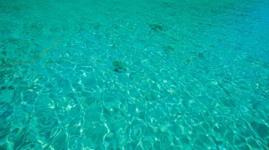 Palawan Adası Deniz Manzarası, Filipinler 