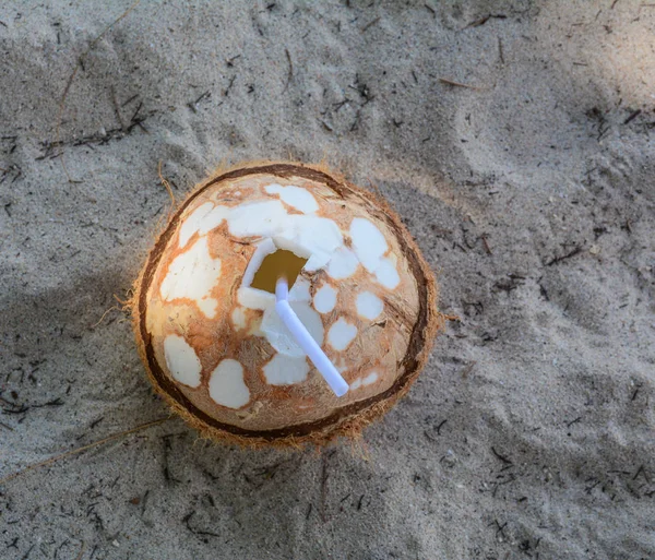 Kokosnussfrüchte am Strand — Stockfoto