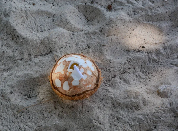 Kokosnussfrüchte am Strand — Stockfoto