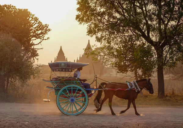 Tozlu yolda turist taşıyan at arabası — Stok fotoğraf