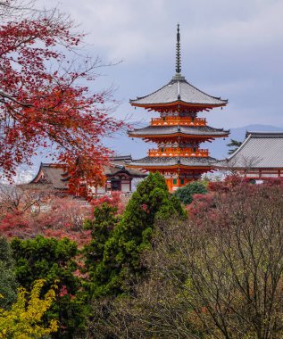Kyoto sonbaharda Kiyomizu Tapınağı, Japonya