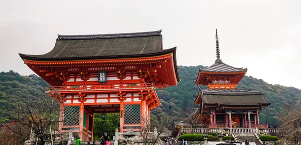 일본 도쿄에 있는 기요 미즈데라 사원, 일본 — 스톡 사진