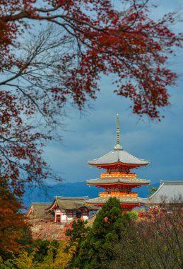 Kyoto sonbaharda Kiyomizu Tapınağı, Japonya