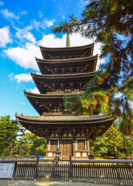 Kofukuji Tapınağı: Nara, Japan