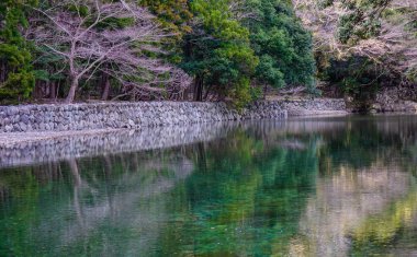 Yeşil ağaç ormanı ile göl manzarası 