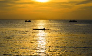 Okyanusta gün batımı 