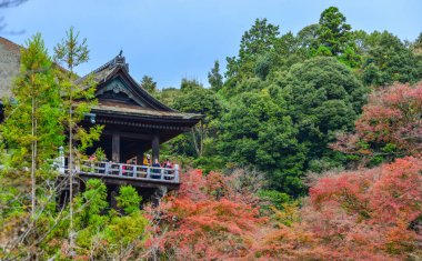 Kyoto sonbaharda Kiyomizu Tapınağı, Japonya