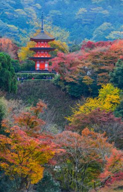 Kyoto sonbaharda Kiyomizu Tapınağı, Japonya