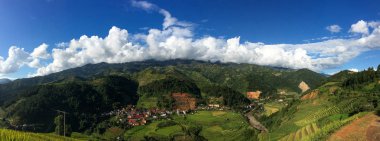 Sonbaharda teraslı pirinç tarlası 