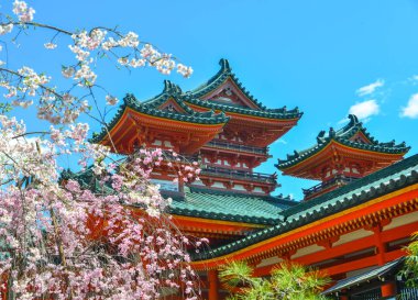 Kiraz çiçeği ile Antik tapınak 