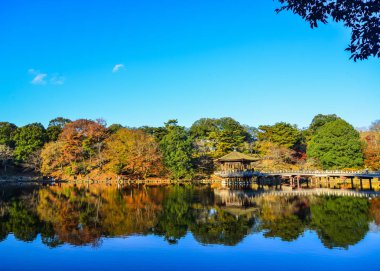 Nara'da sonbahar manzarası, Japonya 