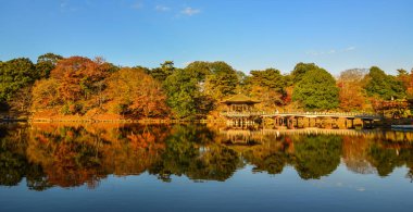 Nara'da sonbahar manzarası, Japonya 