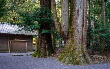Ise Jingu Kompleksi in Mie, Japonya 