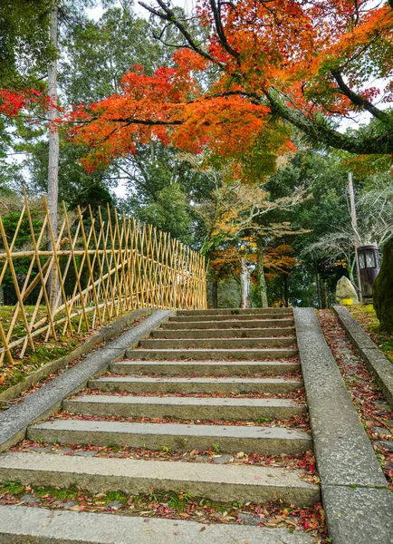 Herbstliche landschaft in nara, japan — Stockfoto