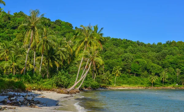 Okořenní mys ostrova Phu Quoc, Vietnam — Stock fotografie