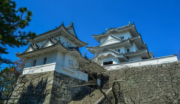 Hrad GA Ueno v Mie, Japonsko — Stock fotografie