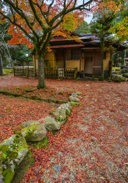 Осенний пейзаж в Наре, Япония — стоковое фото