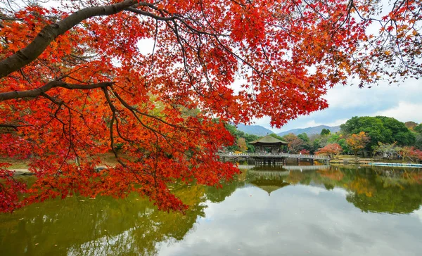 Paisajes otoñales en Nara, Japón —  Fotos de Stock