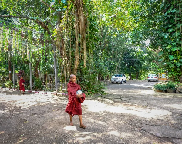 Monjes budistas en Bagan, Myanmar — Foto de Stock