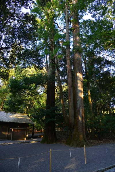 Ise Jingu комплекс в Mie, Японія — стокове фото