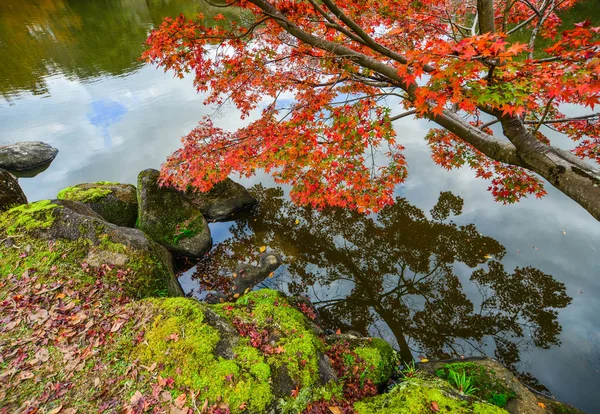 Осенний пейзаж в Наре, Япония — стоковое фото