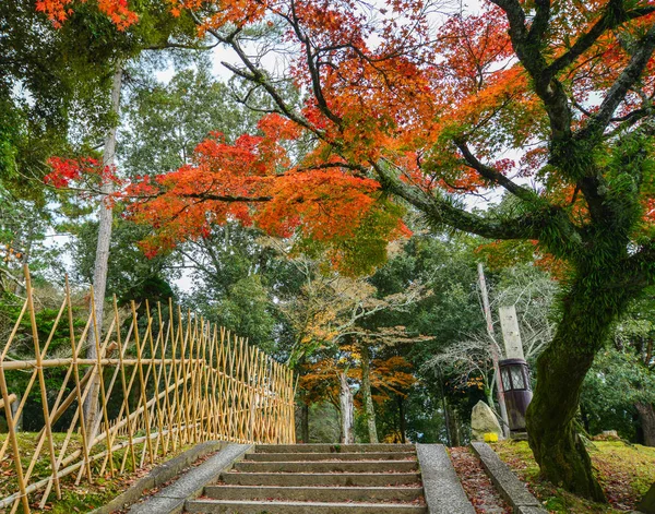 Φθινοπωρινό τοπίο σε Νάρα, Ιαπωνία — Φωτογραφία Αρχείου
