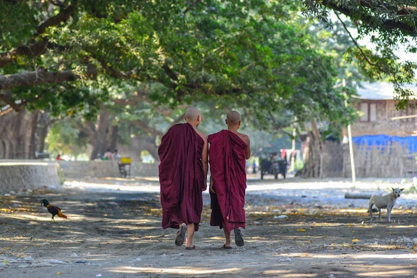 Jóvenes monjes caminando por el camino rural —  Fotos de Stock