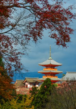 Kyoto sonbaharda Kiyomizu Tapınağı, Japonya