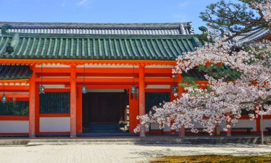 Japonya, Kyoto 'da kiraz çiçeği 