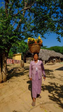 Bagan, Myanmar'da bir satıcı 
