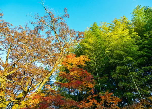 奈良の秋の風景 — ストック写真