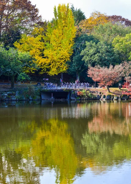 Nara'da sonbahar manzarası, Japonya — Stok fotoğraf