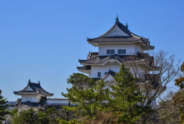 日本三重的伊加上野城堡 — 图库照片