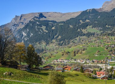 Grindelwald, İsviçre'de dağ kasabası. Grindelwald Avrupa'nın ilk turistik tatil beldelerinden biriydi..