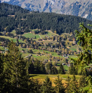 Grindelwald, İsviçre - 20 Ekim 2018. Grindelwald, İsviçre'de dağ kasabası. Grindelwald Avrupa'nın ilk turistik tatil beldelerinden biriydi..