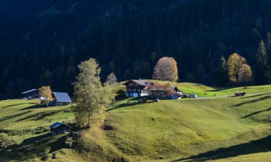 Grindelwald, İsviçre'de dağ kasabası. Grindelwald Avrupa'nın ilk turistik tatil beldelerinden biriydi..