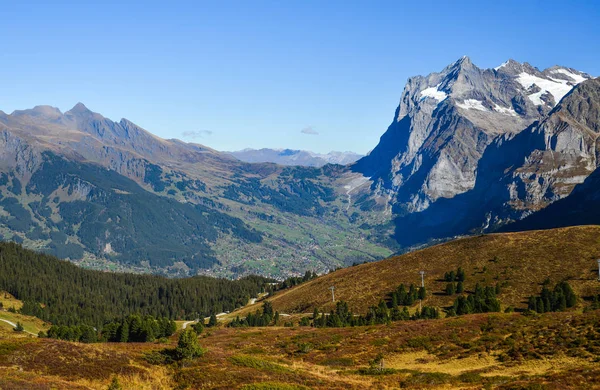 Mountainscape Grindelwald Switzerland Pretty Swiss Grindelwald Town Blessed Stunning Surroundings — Stock Photo, Image