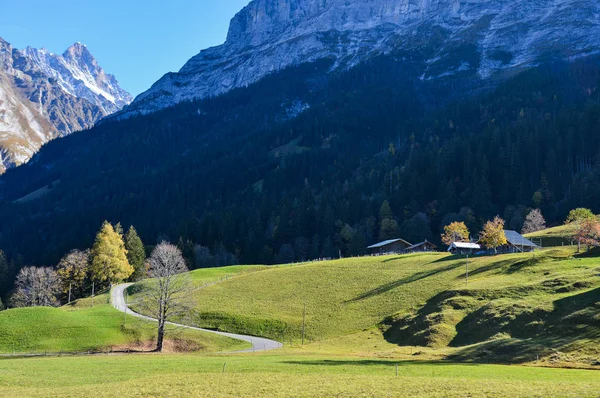 Pueblo Montaña Grindelwald Suiza Grindelwald Fue Uno Los Primeros Centros —  Fotos de Stock