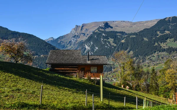 Ville Montagne Grindelwald Suisse Grindelwald Été Une Des Premières Stations — Photo