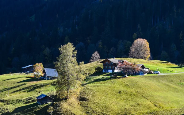 Bergstadje Grindelwald Zwitserland Grindelwald Een Van Eerste Toeristische Resorts Europa — Stockfoto