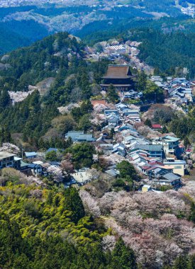 Japonya 'nın Nara şehrinde güneşli bir günde Yoshino Dağı çiçek açan kiraz ağaçlarıyla kaplıydı..