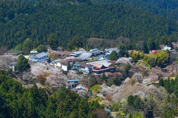Yoshino Montanha Coberta Por Cerejeiras Flor Cheia Dia Ensolarado Nara — Fotografia de Stock