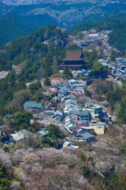 Japonya 'nın Nara şehrinde güneşli bir günde Yoshino Dağı çiçek açan kiraz ağaçlarıyla kaplıydı..