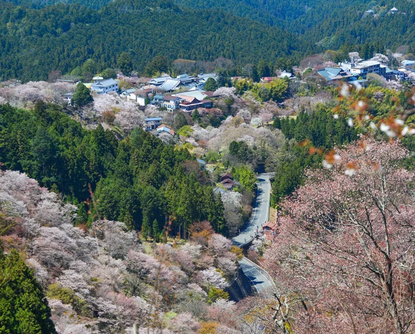 Yoshino Montanha Coberta Por Cerejeiras Flor Cheia Dia Ensolarado Nara — Fotografia de Stock