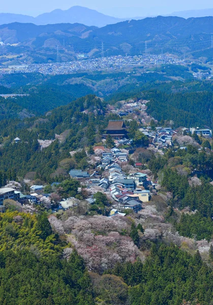 Yoshino Mountain Καλύπτονται Από Πλήρη Ανθισμένες Κερασιές Ηλιόλουστη Μέρα Στη — Φωτογραφία Αρχείου