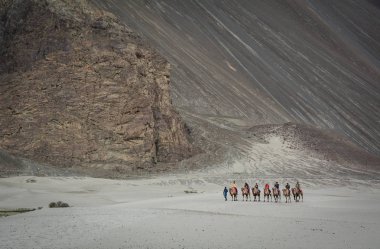 Ladakh, Hindistan - 18 Temmuz 2015. Hindistan'ın Ladakh kentinde deveye binen turistler. Ladakh, Jammu & Keşmir eyaletinin en yüksek platosudur ve büyük bir kısmı 3000 metrenin üzerindedir..
